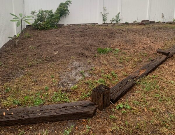 Stump removal Tampa