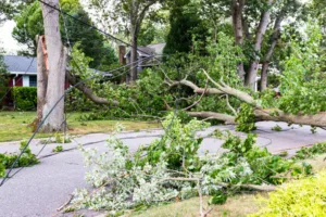 Read more about the article How to Clean Up After a Hurricane Hits Central Florida​?